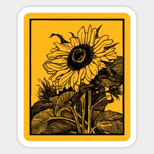 Sunflower Blooming Sketch Sticker